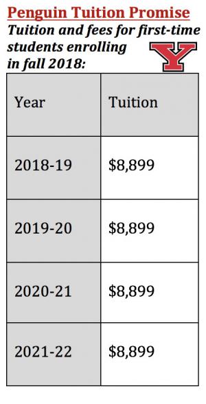 Penguin Tution Promise Table