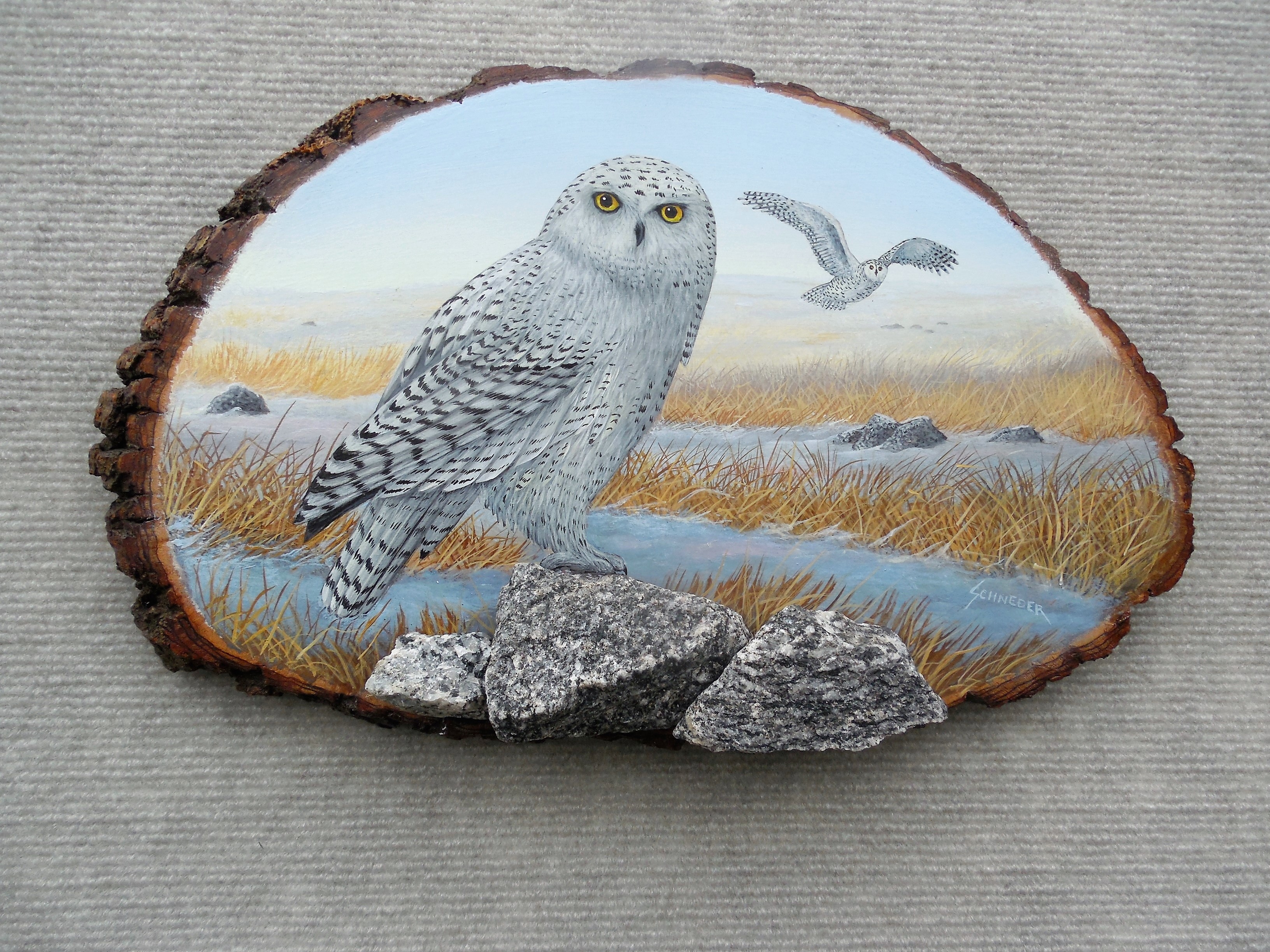 Owl painting on wood