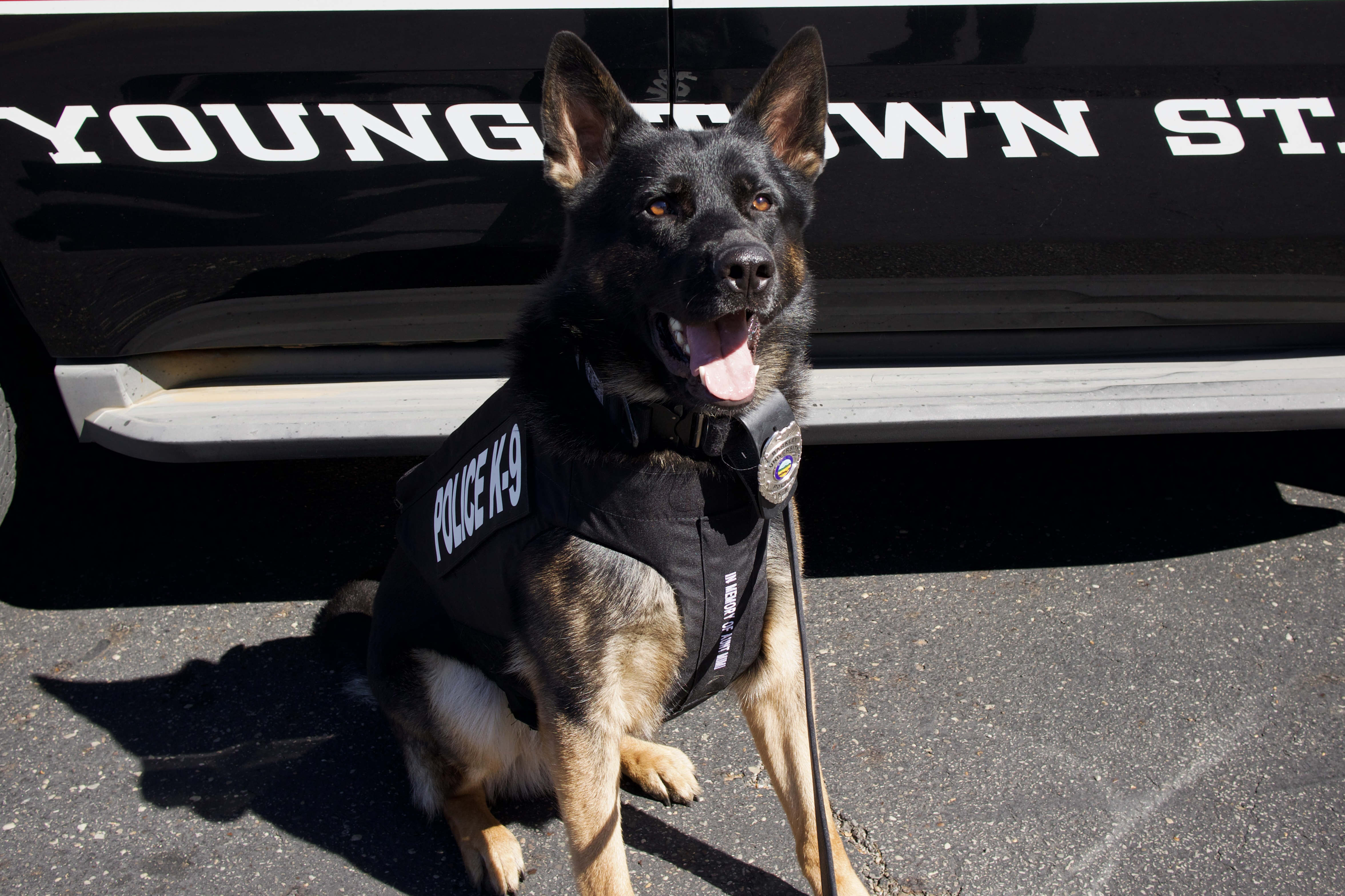 YSU PD K-9 Barkley with his new protective vest