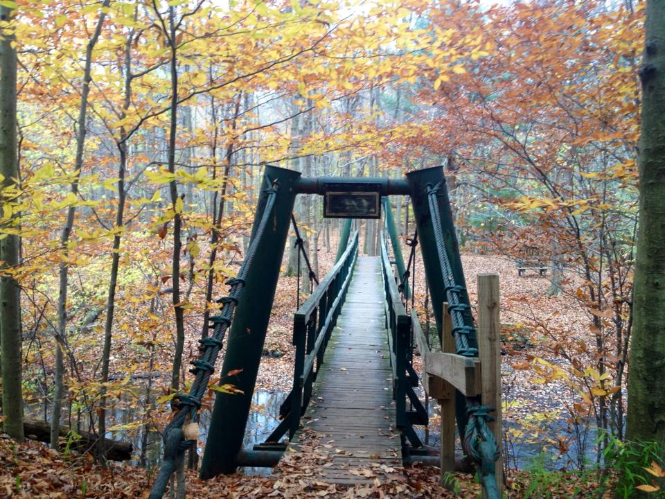 Bridge at the Park