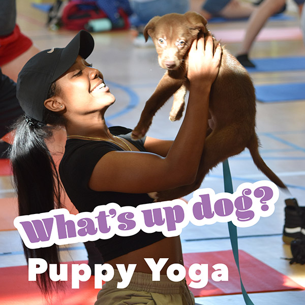 Puppy Yoga | What’s up dog?