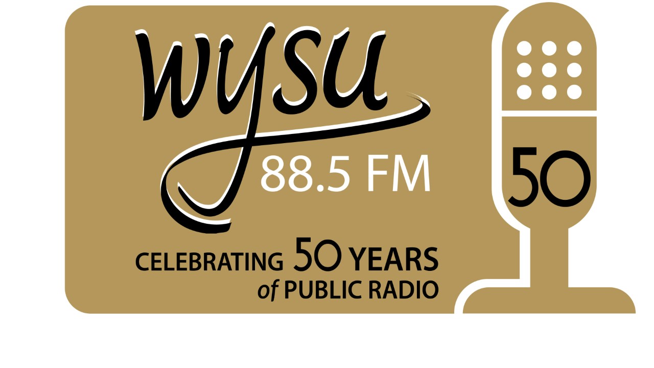 Wysu Logo 