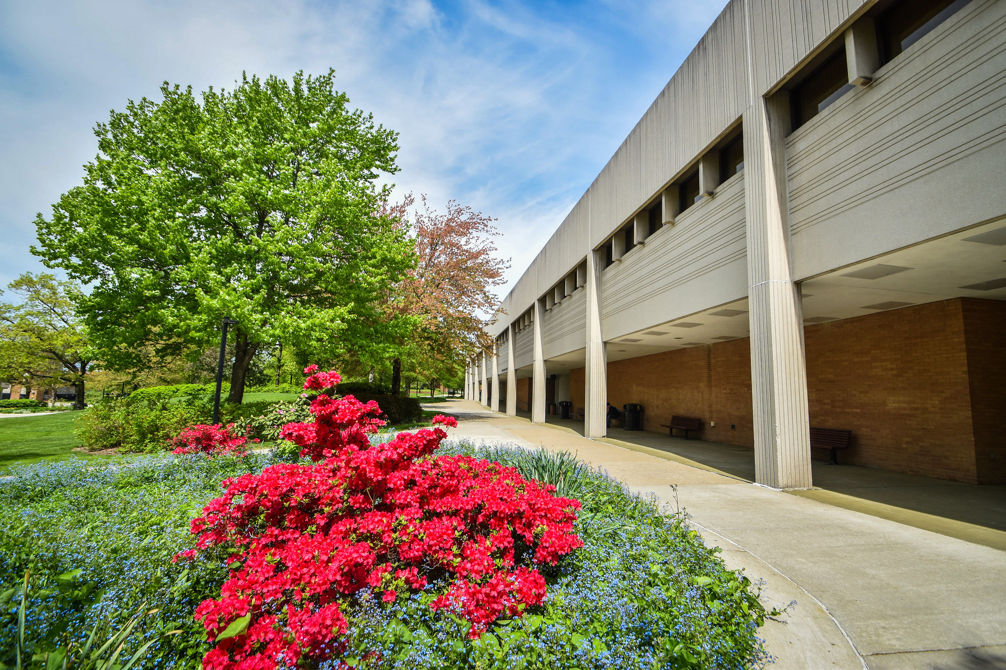 Kilcawley Center