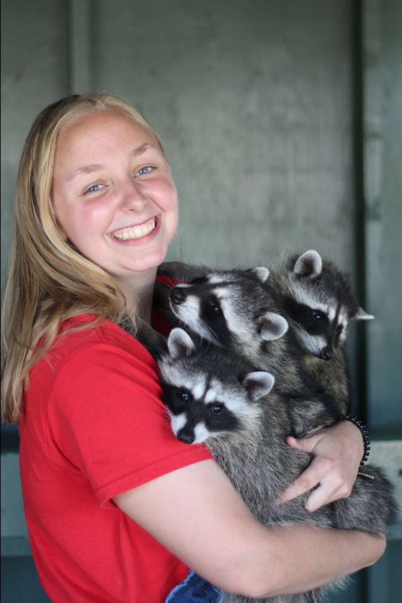 YSU student Lauren Rager, who spent three months this past summer taking care of squirrels, skunks, rabbits and raccoons at Critter Care Wildlife Society in Langley, British Columbia in Canada, was recognized earlier this semester as "Honors Student of the Week."