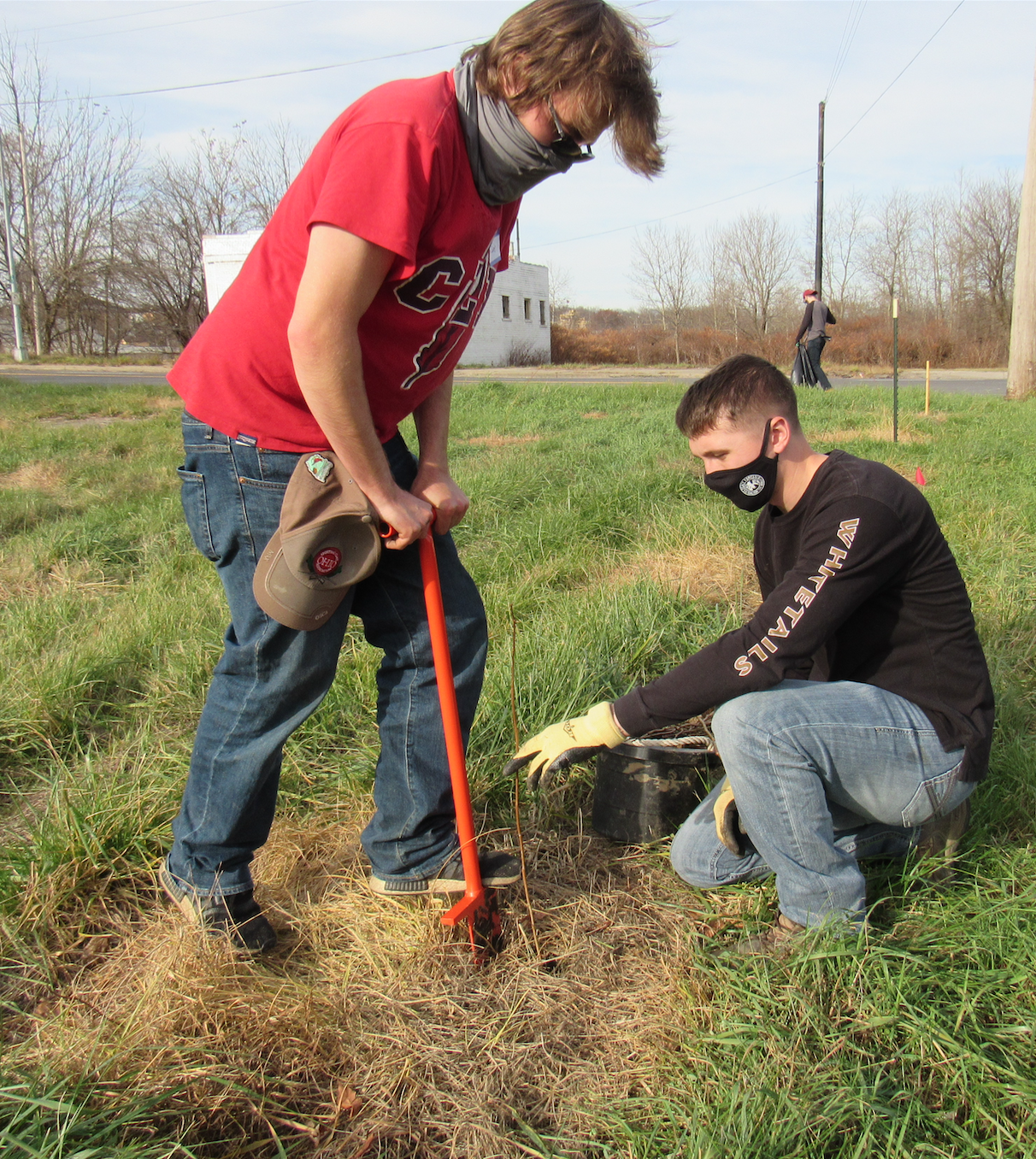 YSU Legacy Forest