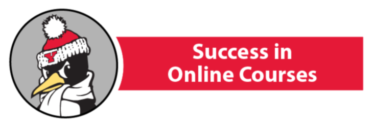 Success in Online Courses