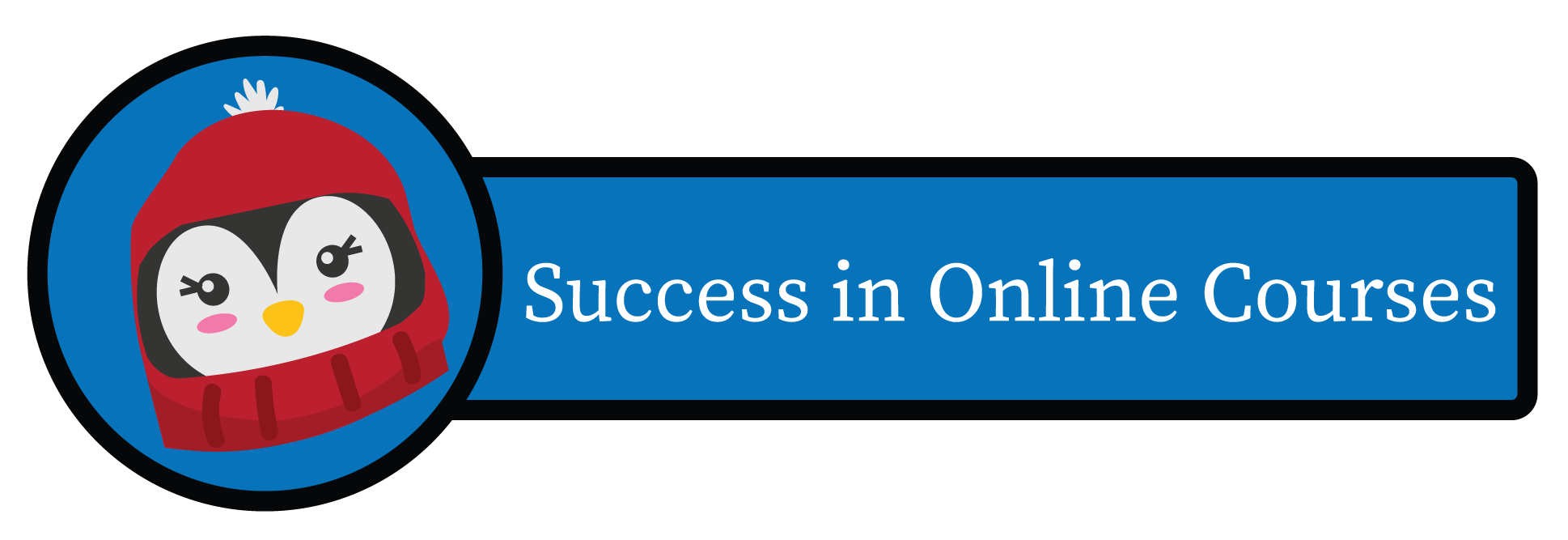 Success in Online Courses