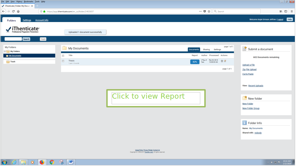 Report view inside iThenticate page.