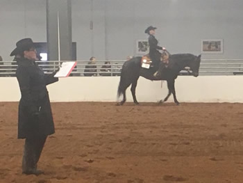 YSU equestrian student on horseback during event