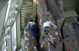 picture of rock wall and climbers