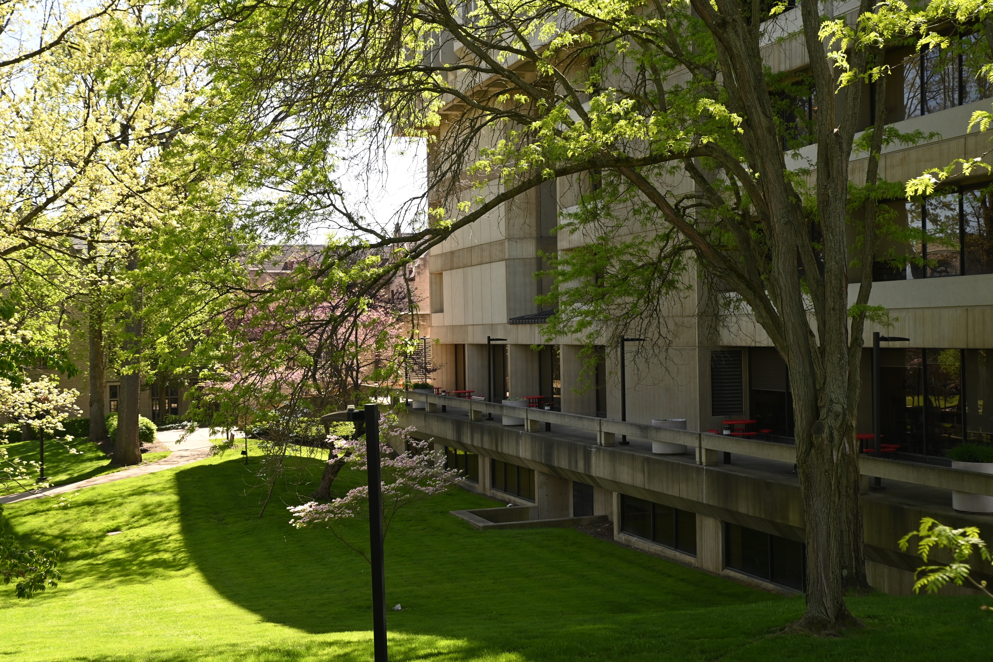 speech at YSU about KC