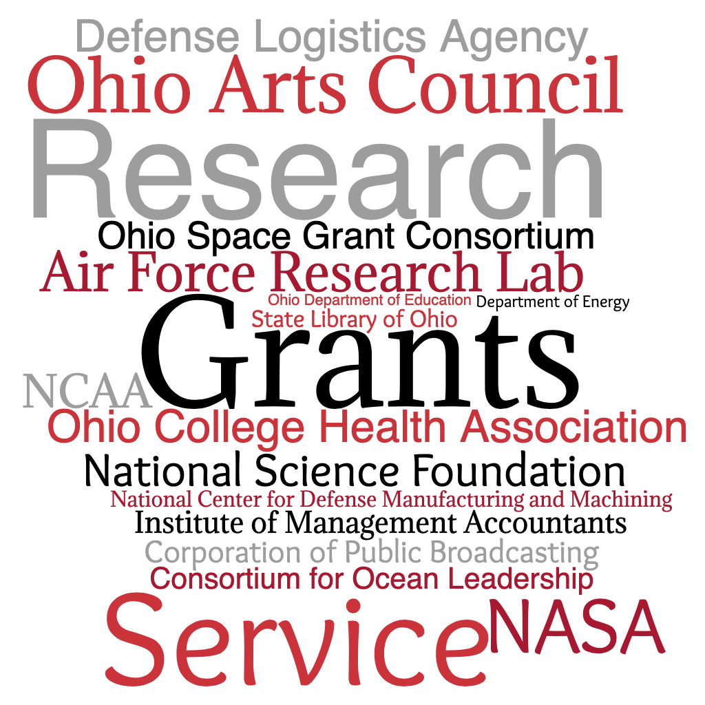 Word cloud of from where grants were received