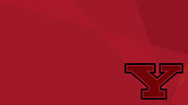 Y Logo (red overlay)