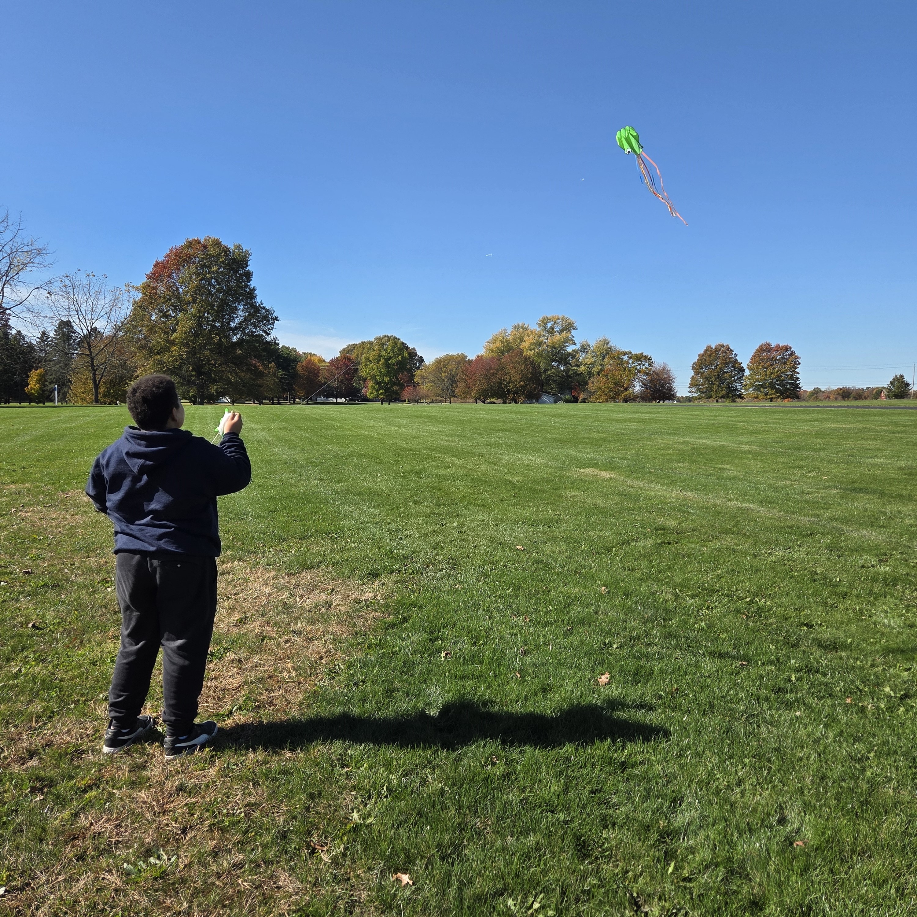 Boy flying a kite