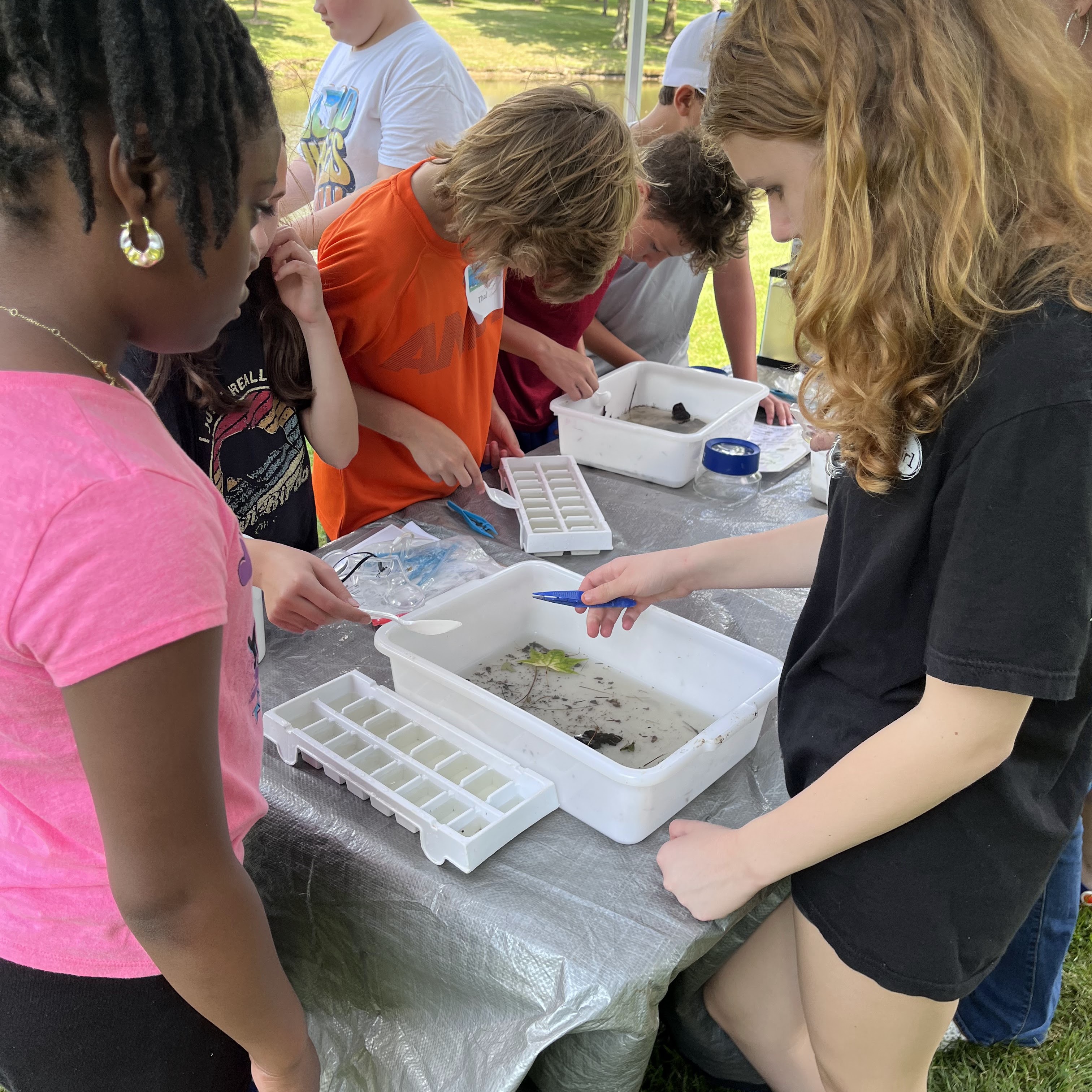 Young children work around a table classifying foliage
