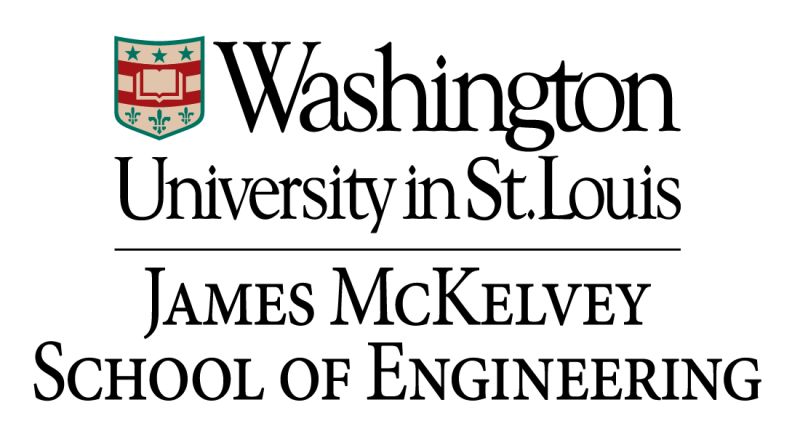 WashU - Michelle Ani