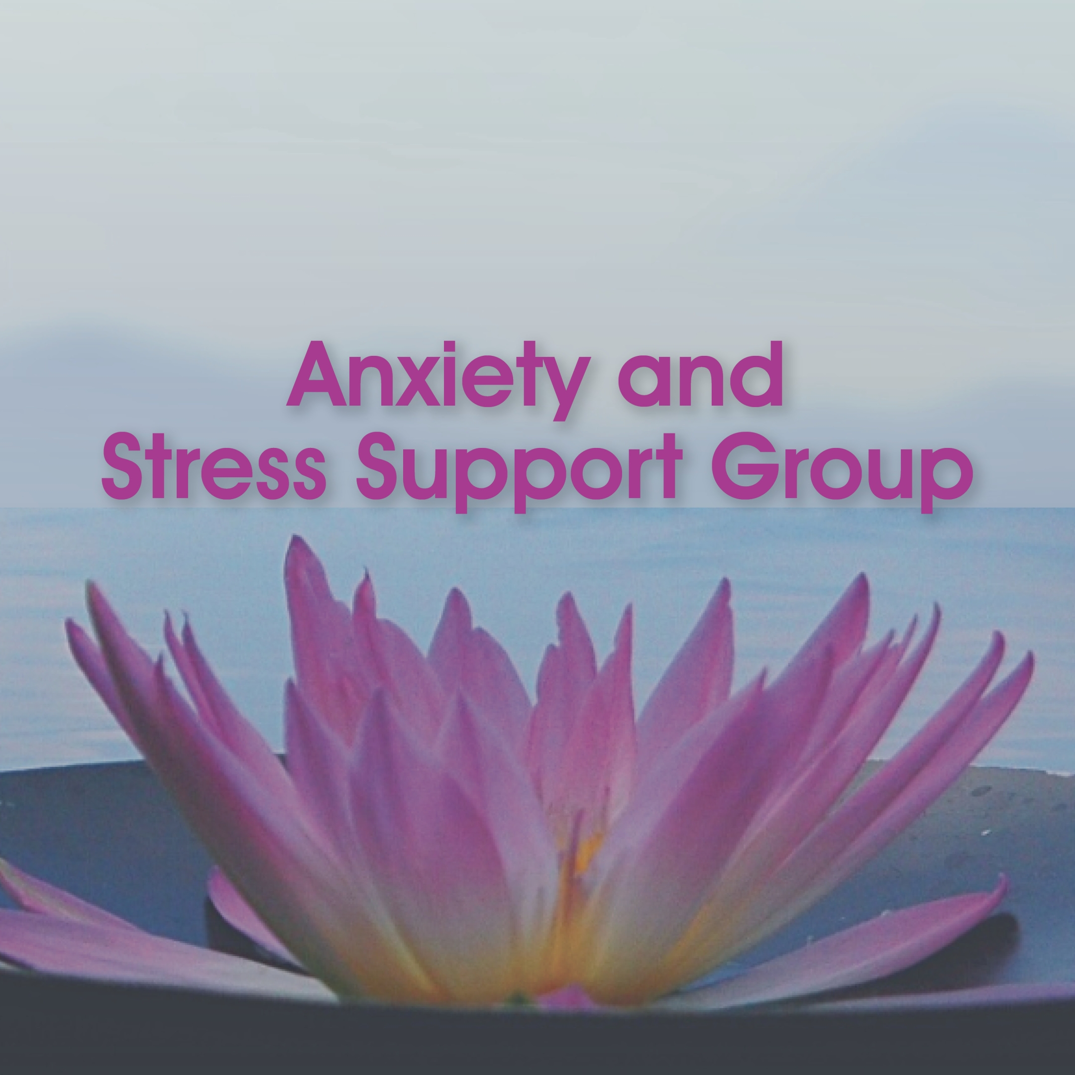 Anxiety and Stress Support Group
