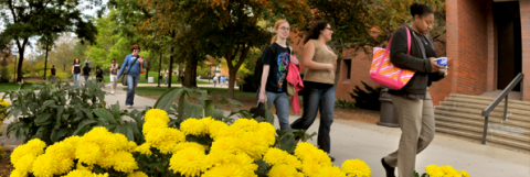 Students walking to class in the spring.