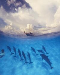 A photo of a boat above water and 10 dolphines swimming alongside a diver underneath the water