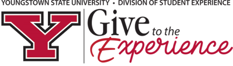 youngstown state university division of student experience give to the experience