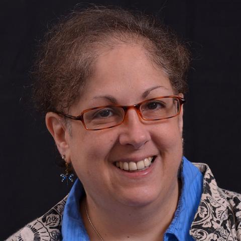 Mari Alschuler, associate professor, Social Work, will present a workshop, “Mindfulness Meditation Training for Masters of Social Work Field Students,” at the 12th