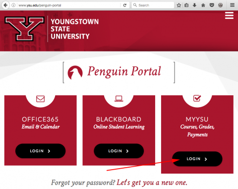 YSU penguin portal page with an arrow pointing to the MY YSU link