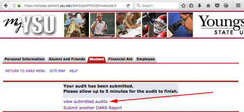 The Submission page for the DARS Audit with an arrow pointing to the view submitted audits link