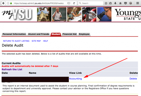 The View audits page with an arrow pointing to the link to see your submission