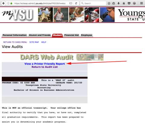 The Audit page with an arrow to the print friendly link