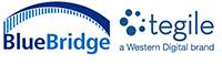 BlueBridge Networks | Tegile