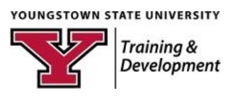 Training Development Logo