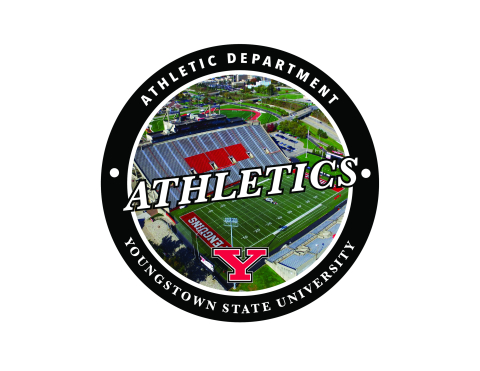 Athletic_badge_penguins.jpg