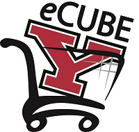 eCube Logo