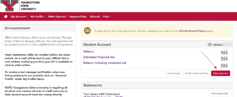 Make A Payment in the Portal