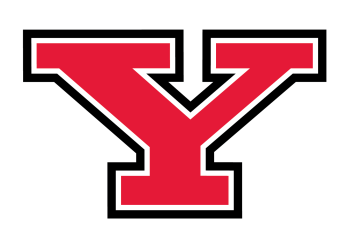 Y logo