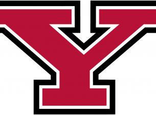 Logo of YSU 