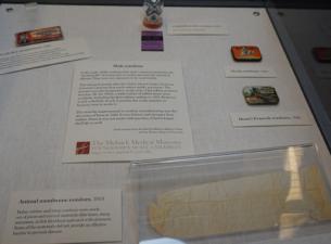Youngstown State University is displaying a collection of contraceptives in a new exhibit at the Lin