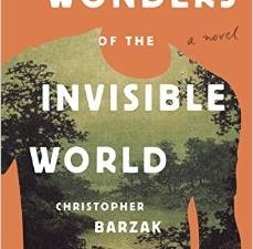 Book Cover for Wonders of the Invisible World