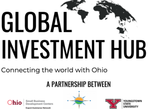 Global Investment Hub