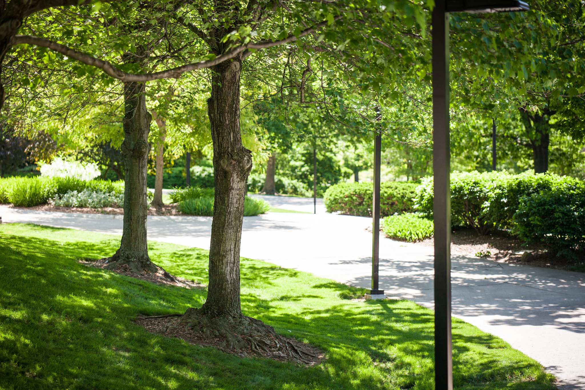 Scenic view of campus just outside of Kilcawley Center.