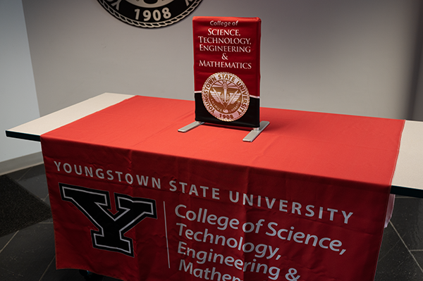College of Science Technology Engineering and Mathematics YSU