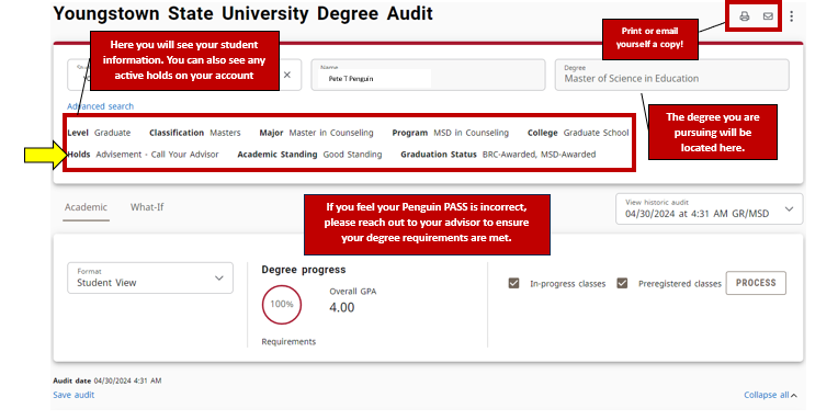 Overview of Penguin Pass features