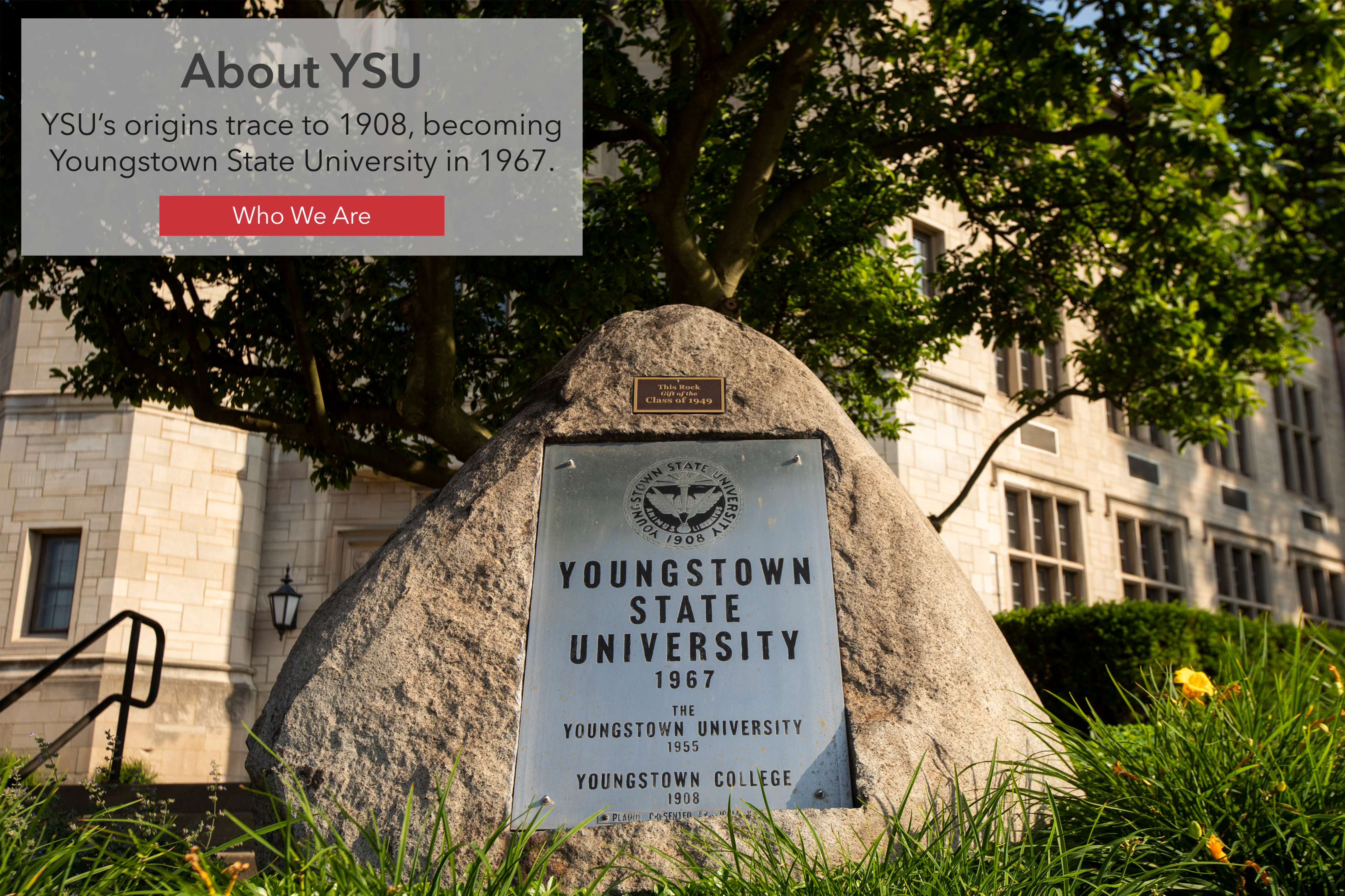 About YSU.png