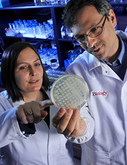 ysu professor working with student in biology lab