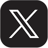 X Icon